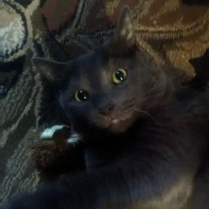 Meet your Posher, Joanne